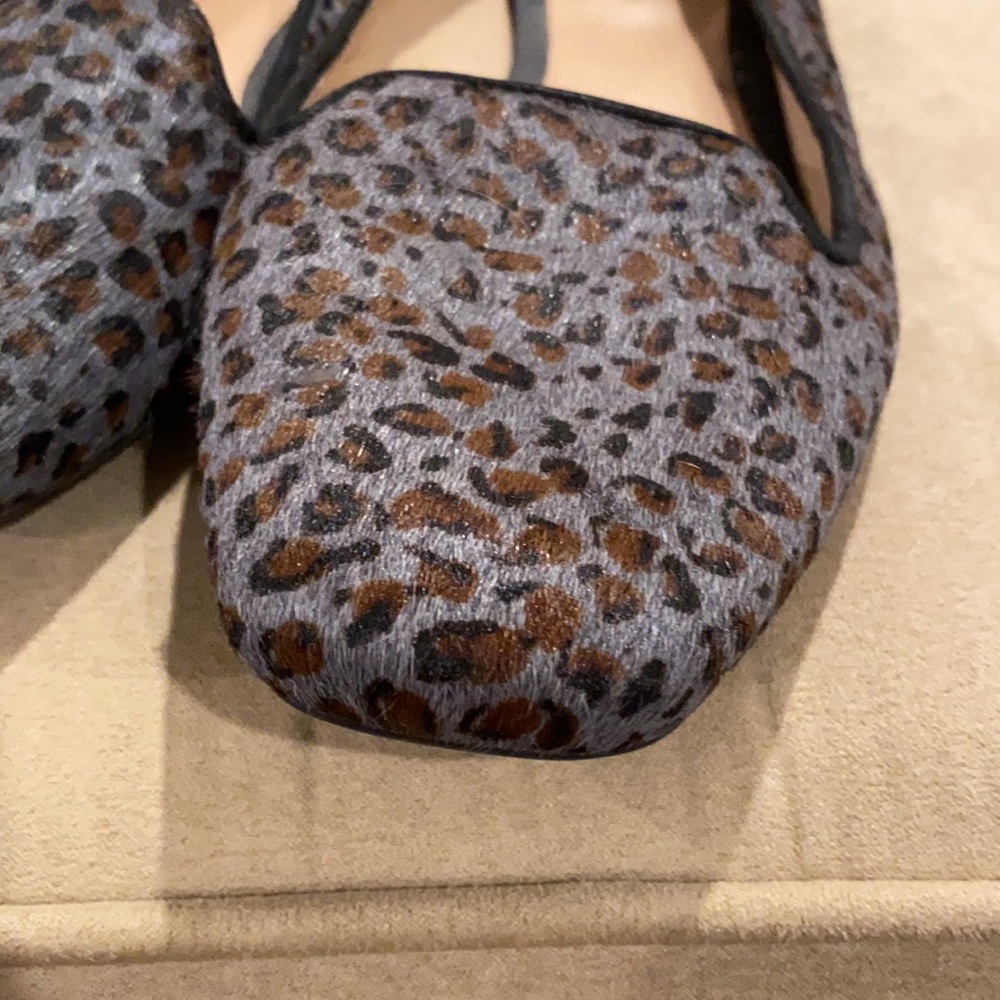 Grey Leopard - Picture 4 of 8